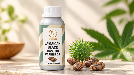 Jamaican black castor oil and castor massage oil bottles compared side by side with castor seeds