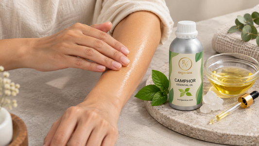 Hand massaging diluted camphor oil onto the forearm beside an RV Organica Camphor Essential Oil bottle, a bowl of carrier oil and a dropper