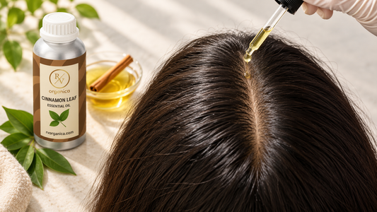 Diluted cinnamon oil being applied with a dropper along the parting of dark hair, with a cinnamon leaf essential oil bottle and a bowl of carrier oil nearby