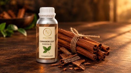 RV Organica cinnamon leaf essential oil in a silver aluminium bottle beside a bundle of cinnamon sticks tied with jute twine on a dark wooden table in warm light