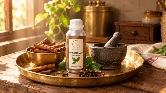 Cinnamon leaf essential oil bottle on a brass thali with a katori of dalchini sticks, cloves, fresh leaves and a stone mortar and pestle in a sunlit Indian kitchen