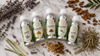 What Criteria Should I Use to Evaluate the Top Essential Oil Manufacturers in India? A Complete Honest Guide