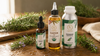 Rosemary essential oil, castor oil, and rosemary oil bottles arranged on a wooden surface with fresh rosemary sprigs in natural light for hair care and aromatherapy.