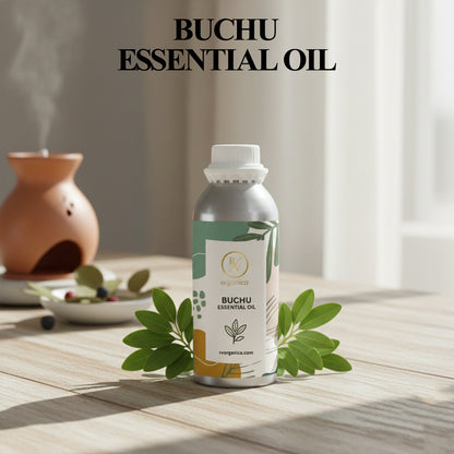Buchu Essential Oil