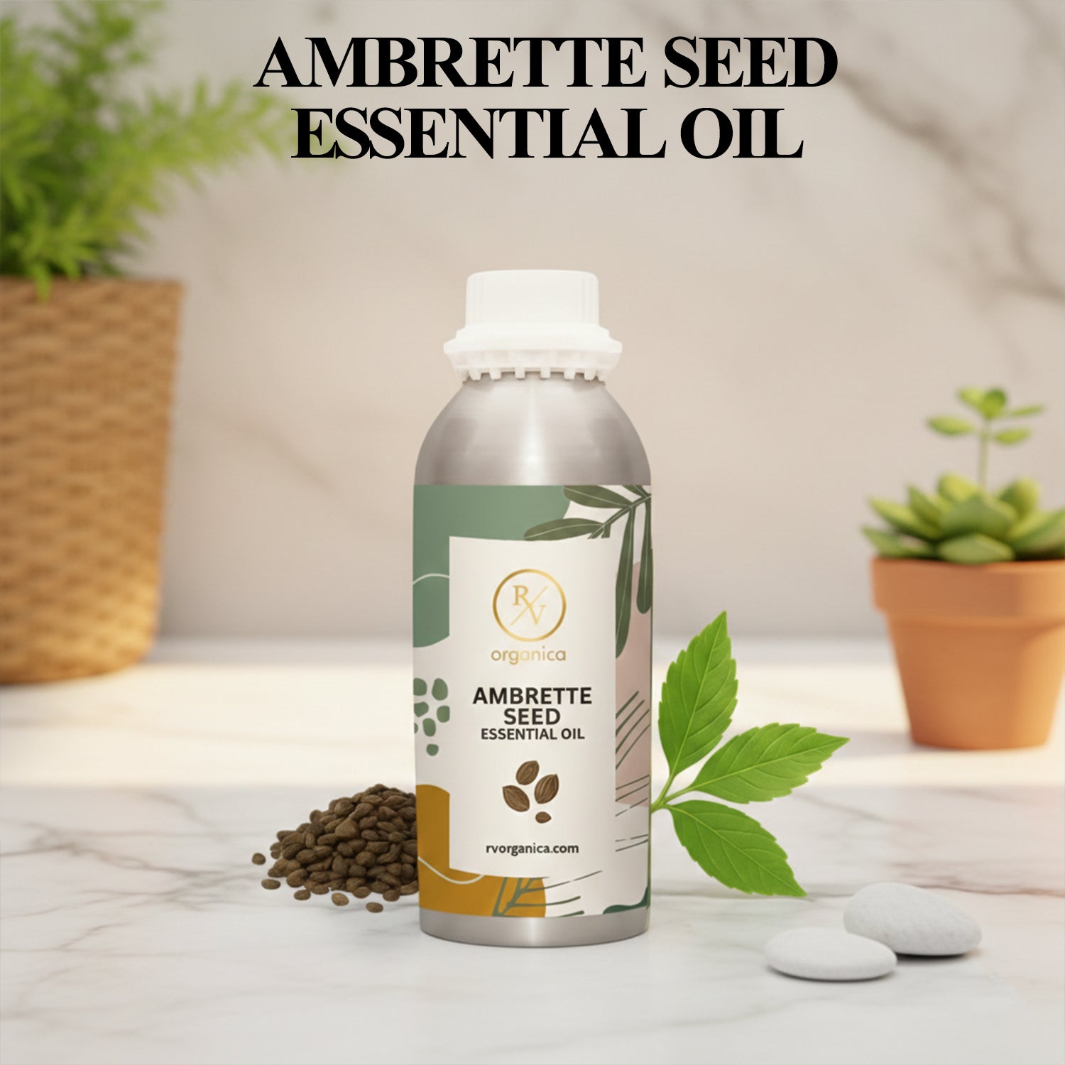 Ambrette Seed Essential Oil