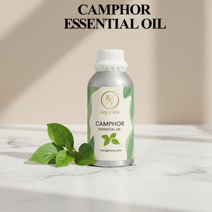 Camphor Essential Oil
