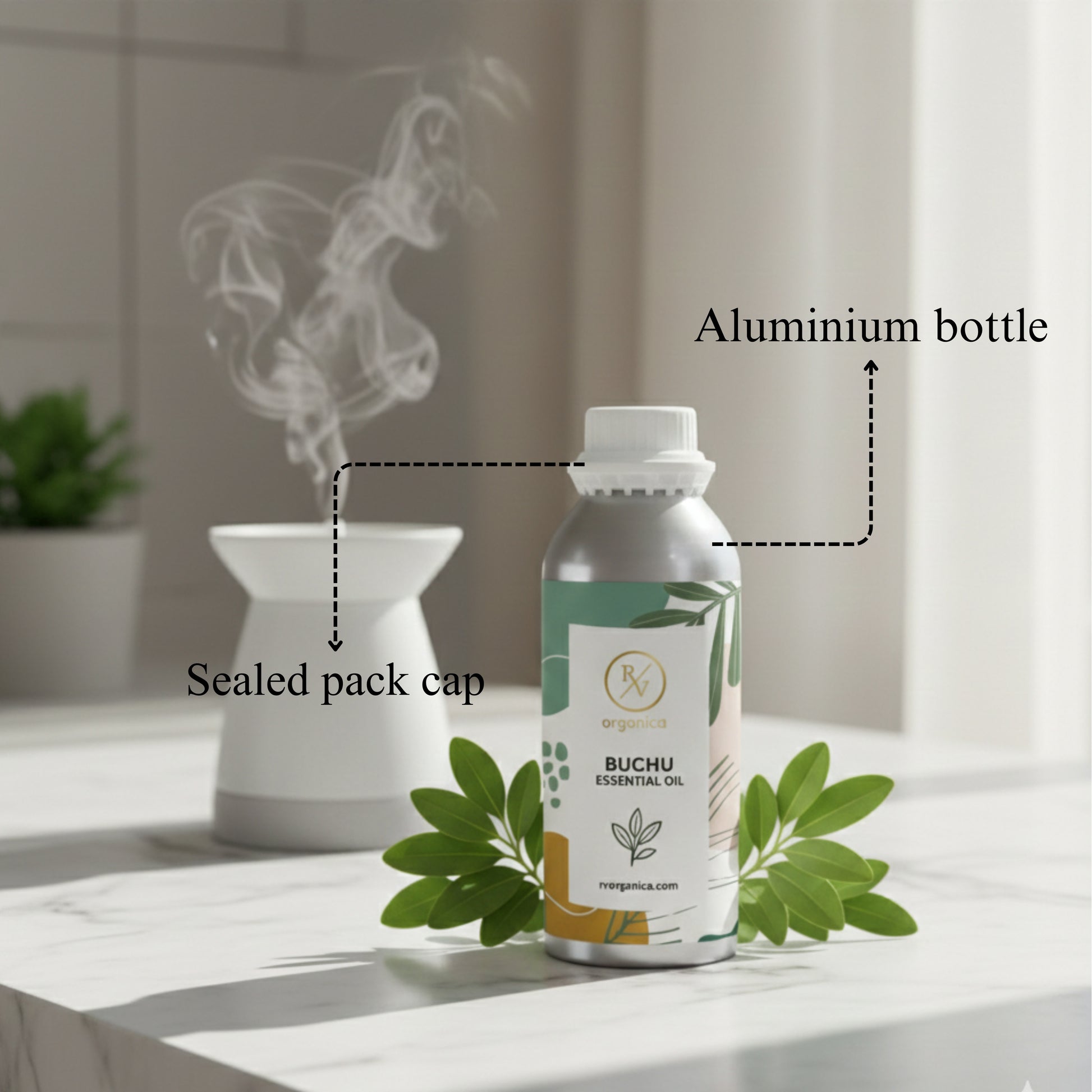 Buchu Essential Oil
