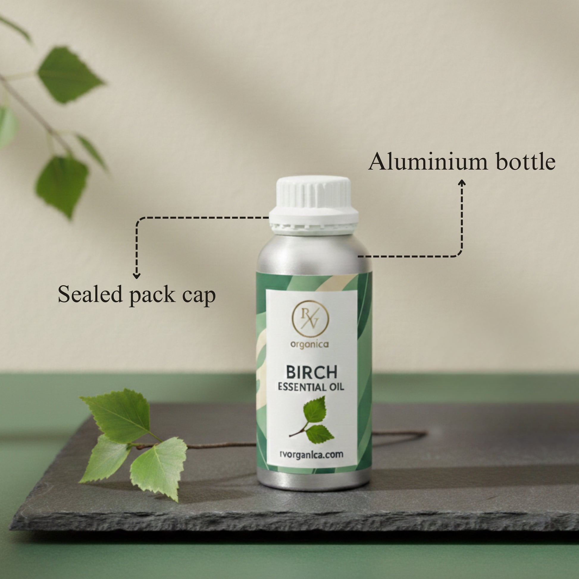 Birch Essential Oil