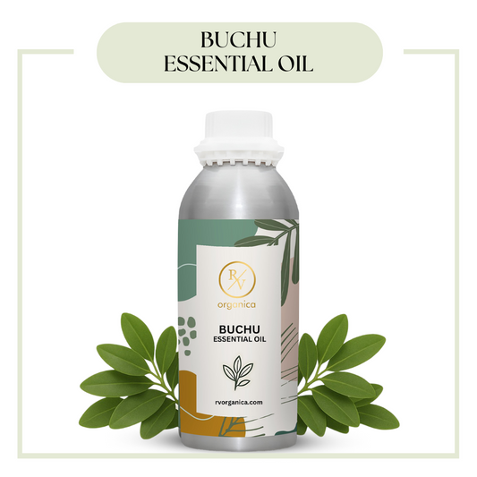 Buchu Essential Oil