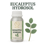 Eucalyptus hydrosol floral water spray by RV Organica organic face toner

