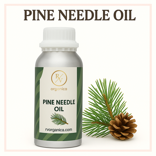 A bottle of Pine Needle Oil with a white cap, labeled with the brand RV Organica. There is also a pine cone and a sprig of pine needles included to the right of the bottle.