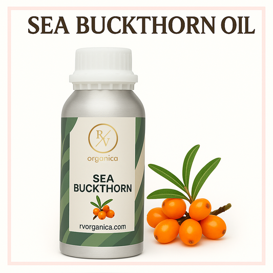 A bottle of RV Organica Sea Buckthorn Oil with a branch of sea buckthorn berries in the foreground.