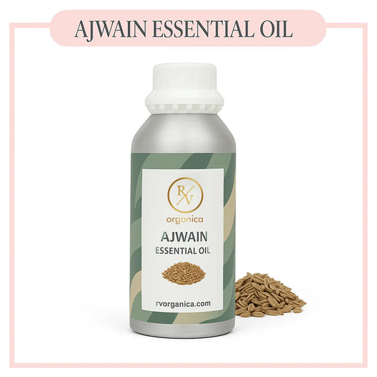 Pure Ajwain Essential Oil for aromatherapy and skincare –RV Organica