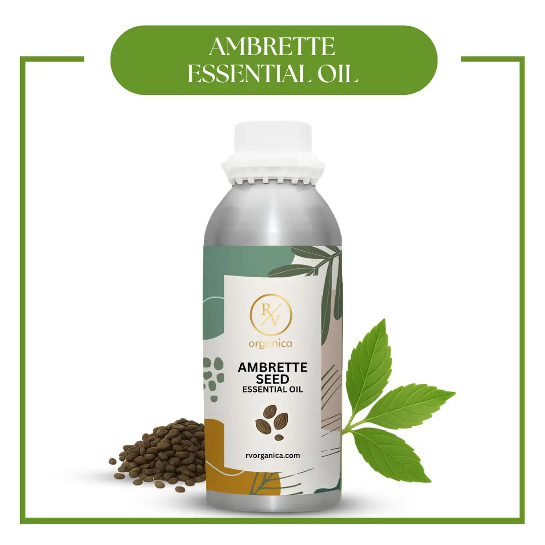 Ambrette Seed Essential Oil | Online Bulk & Retail – RV Organica