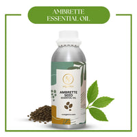 Ambrette Seed Essential Oil