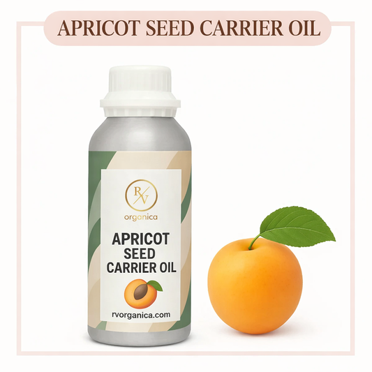 Apricot seed carrier oil for soft skin, face care and body massage use