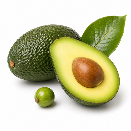 Avocado Fragrance Oil with a creamy fruity and fresh aroma, inspired by ripe avocado for a smooth, nourishing, and long-lasting scent ideal for candles, soaps, perfumes, and personal care products. - second image