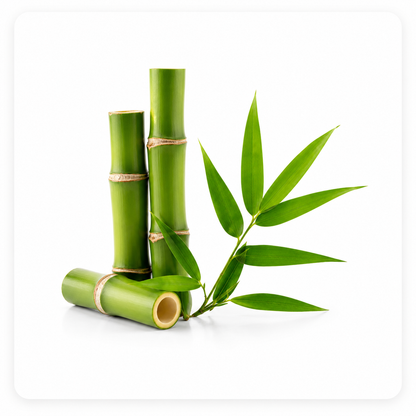 Bamboo Fragrance Oil with a fresh green and woody aroma, inspired by natural bamboo for a clean, calming, and long-lasting scent ideal for candles, soaps, perfumes, and personal care products.