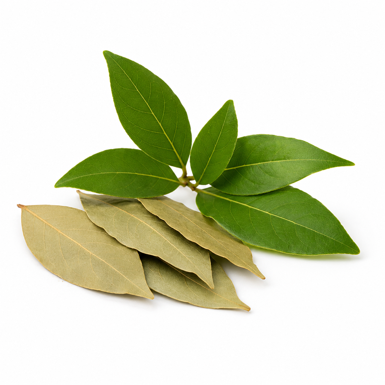 Bay Rum Fragrance Oil with a warm spicy and woody aroma, inspired by traditional bay rum notes for a bold, masculine, and long-lasting scent ideal for candles, soaps, perfumes, and personal care products.
