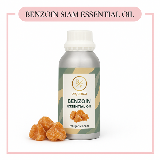 Pure Benzoin Siam Essential Oil for aromatherapy and skincare –RV Organica