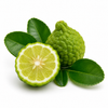 RV Organica Bergamot fruit cut half with fresh green leaves on white background