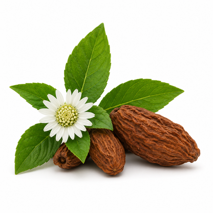 Bhringraj and shikakai fragrance oil with herbal ayurvedic scent blend, ideal for hair care products, soaps, shampoos, and natural skincare formulations