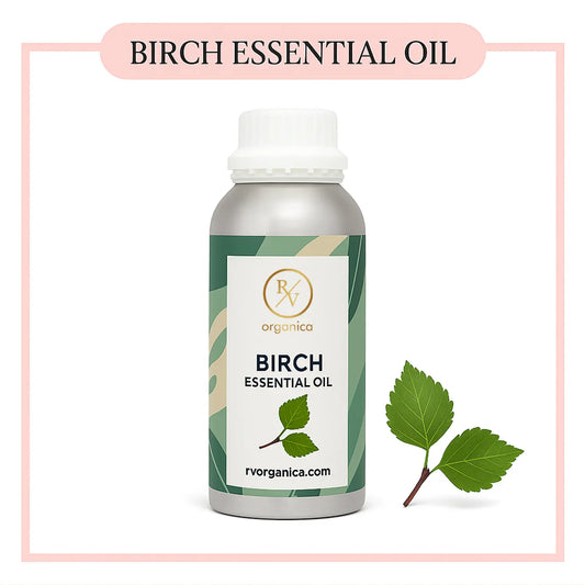 Pure Birch Essential Oil for aromatherapy and skincare –RV Organica