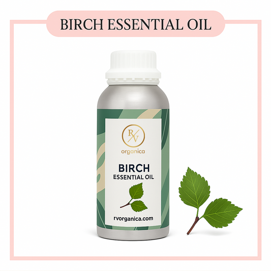 Pure Birch Essential Oil for aromatherapy and skincare –RV Organica