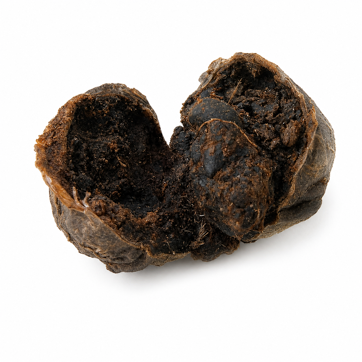 Black Musk Fragrance Oil