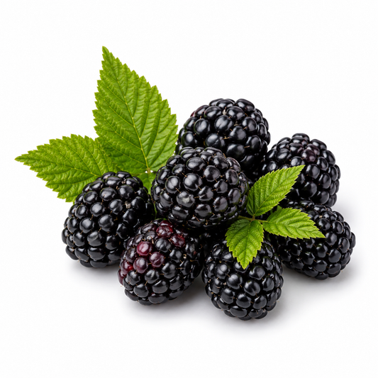 Blackberry Fragrance Oil featuring a juicy fruity aroma perfect for candles, soaps, and body care products. - second image