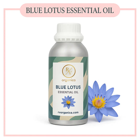 Pure Blue Lotus Essential Oil for aromatherapy and skincare –RV Organica