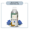 Pure Blue Tansy Essential Oil for aromatherapy and skincare –RV Organica