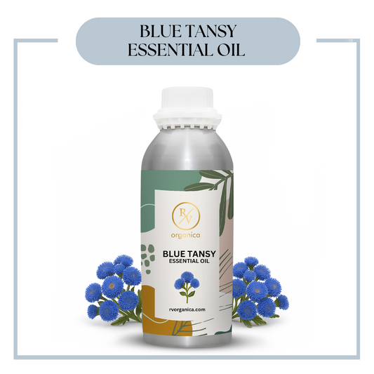 Pure Blue Tansy Essential Oil for aromatherapy and skincare –RV Organica