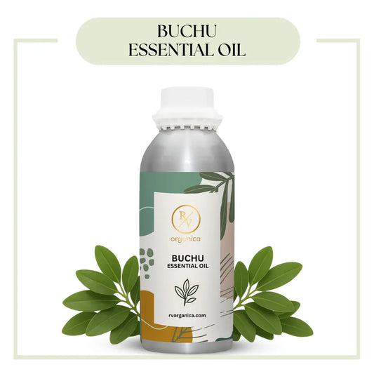 Pure Buchu Essential Oil for aromatherapy and skincare –RV Organica