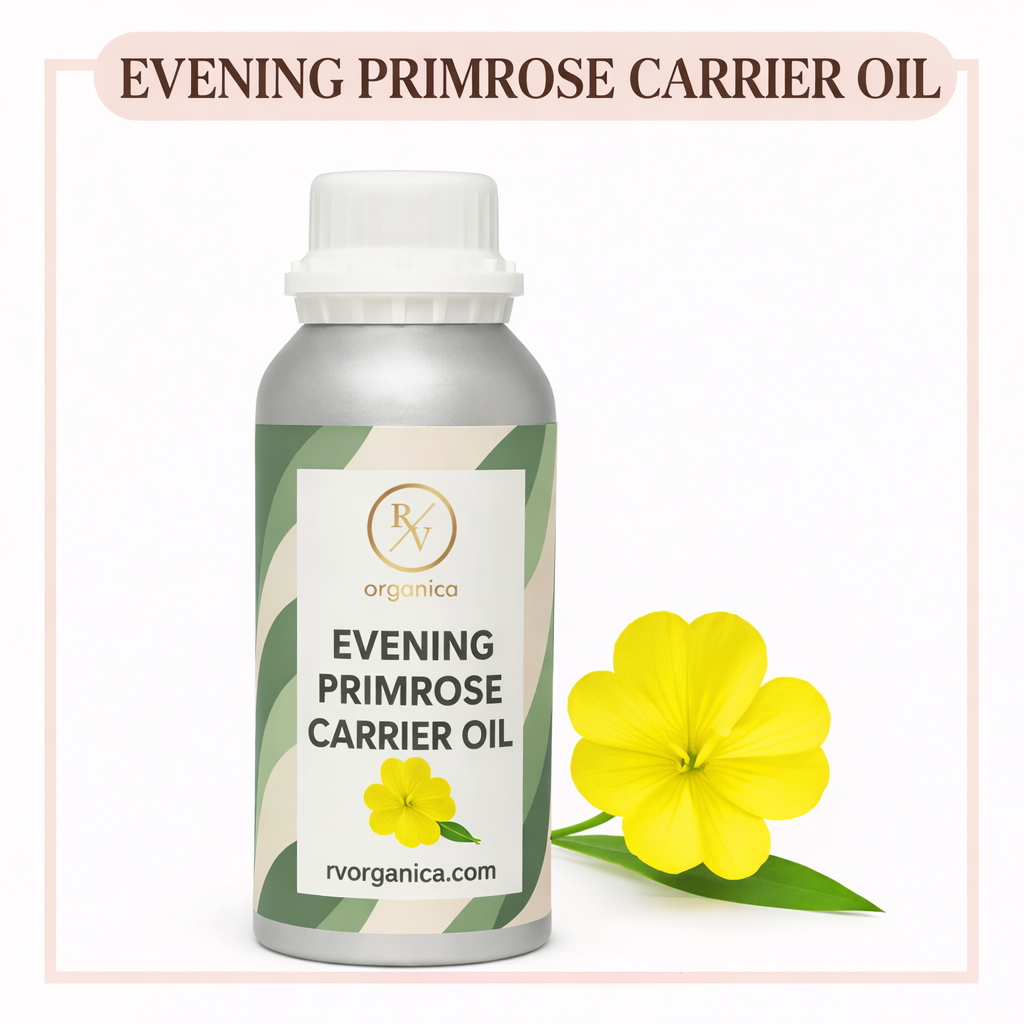 Bulk evening primrose carrier oil for cosmetic manufacturing RV Organica