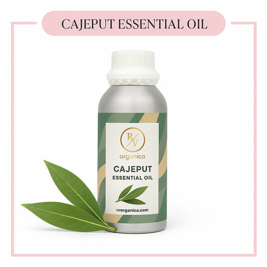 Pure Cajeput Essential Oil for aromatherapy and skincare –RV Organica