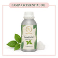 Pure Camphor Essential Oil for aromatherapy and skincare –RV Organica