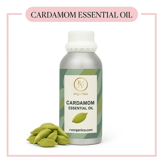 Pure Cardamom Essential Oil for aromatherapy and skincare –RV Organica