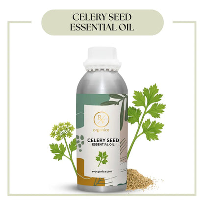 Pure Celery Seed Essential Oil for aromatherapy and skincare –RV Organica