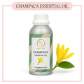 Pure Champaca Essential Oil for aromatherapy and skincare –RV Organica