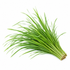 Citronella Essential Oil
