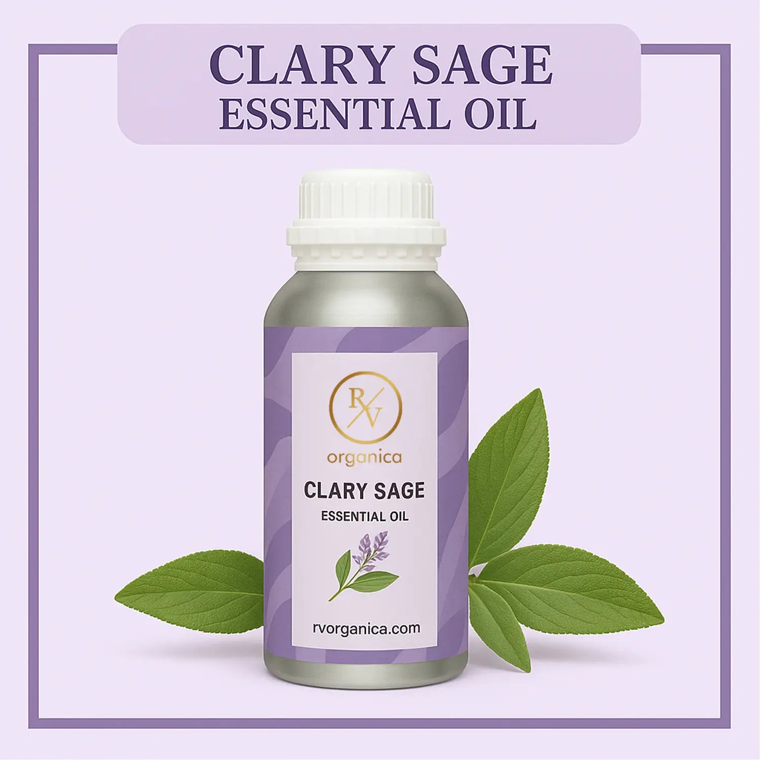 Pure Clary Sage Essential Oil for aromatherapy and skincare –RV Organica