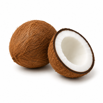 Coconut Fragrance Oil with a creamy tropical and sweet aroma, inspired by fresh coconut for a smooth, refreshing, and long-lasting scent ideal for candles, soaps, perfumes, and personal care products.