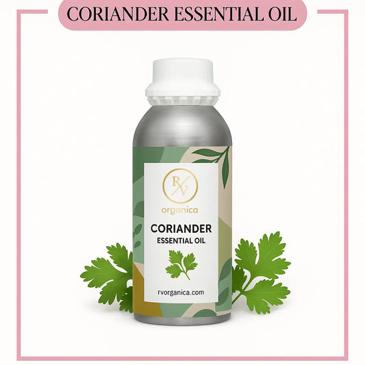 Pure Coriander Essential Oil for aromatherapy and skincare –RV Organica
