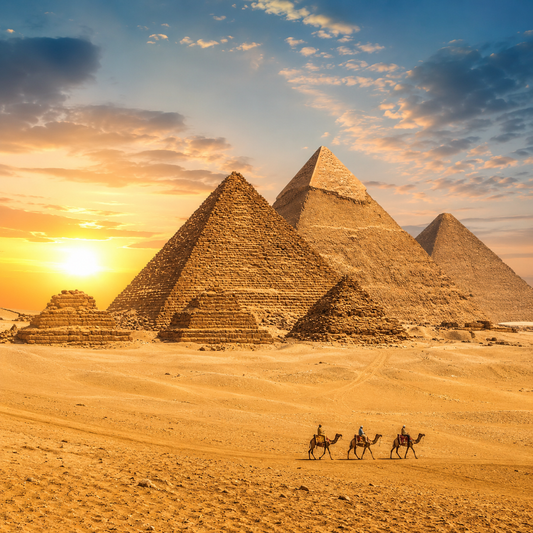Egyptian Musk Fragrance Oil