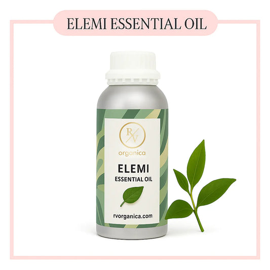 Pure Elemi Essential Oil for aromatherapy and skincare –RV Organica