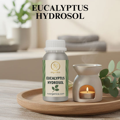 Eucalyptus Hydrosol natural floral water in premium aluminium bottle – refreshing herbal mist for skin and scalp care