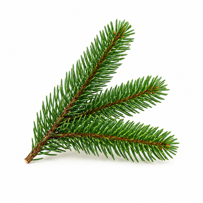 Premium Evergreen Forest Fragrance Oil with a fresh woody aroma inspired by lush pine forests, ideal for soaps, candles, diffusers, perfumes, and home fragrance products.