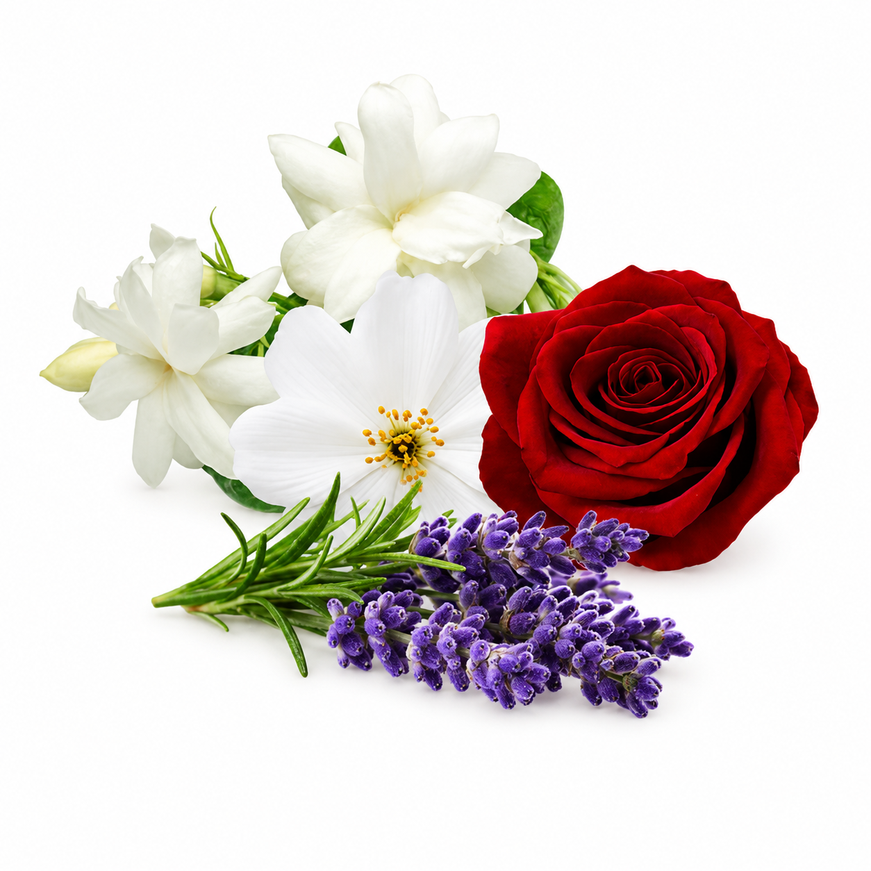 Floral Cover Fragrance Oil