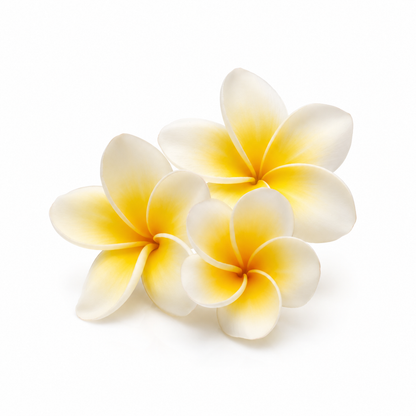 Frangipani Fragrance Oil with an exotic floral and tropical aroma, offering a sweet, creamy, and long-lasting scent ideal for candles, soaps, perfumes, and personal care products.